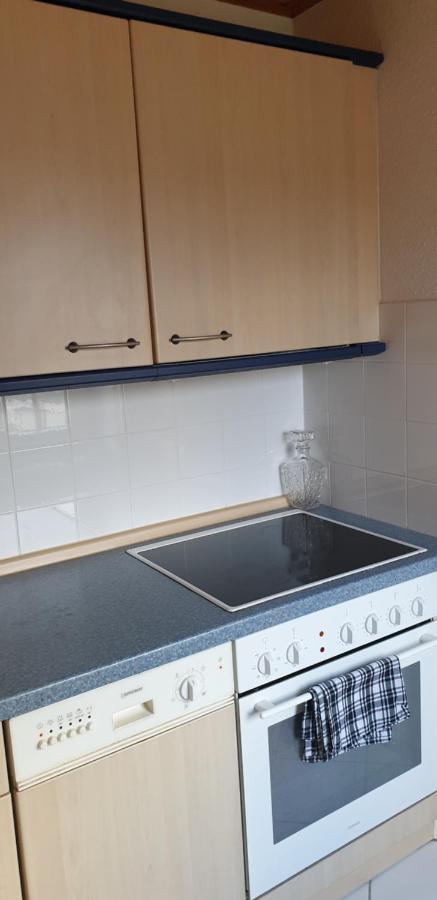 Ferienwohnung Stadtvilla Magdeburg Eksteriør bilde